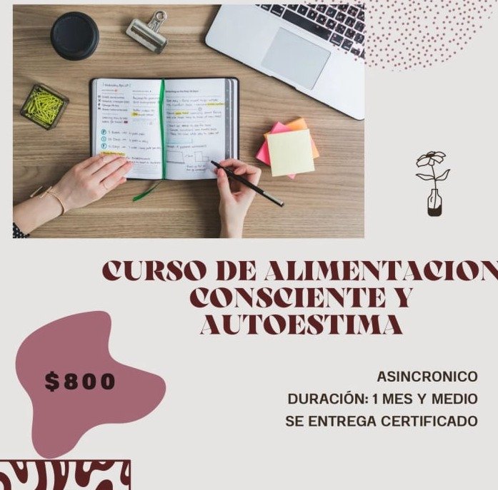 Alimentación